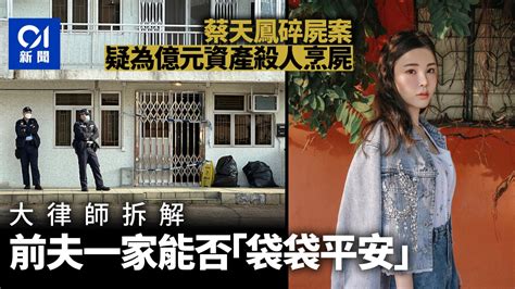 香港十大命案|蔡天鳳案｜香港10大奇案逐個數「康怡花園烹夫案」屍體仍未尋